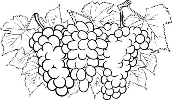 Black and White Cartoon Illustration of Three Bunches of Grapes or Grapevine Fruit Food Design for Coloring Book