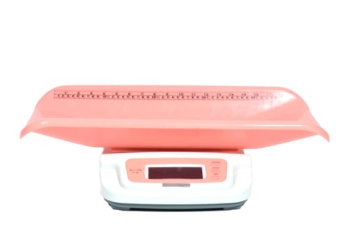 animals weight scale isolated on white background