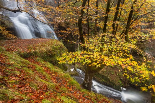 Uguna waterfall, Gorbea Natural Park, Bizkaia, Spain