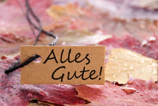 a brown label with the german words Alles Gute, which meands best wishes and autumn background