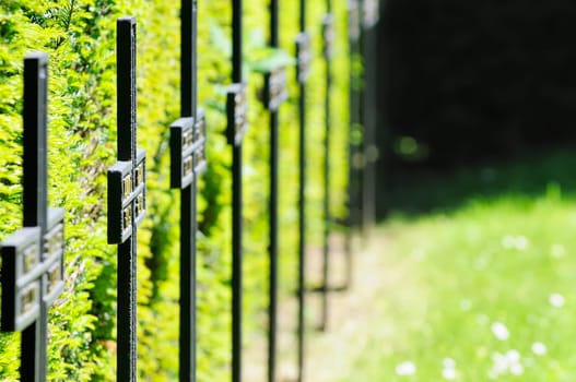 Dead cemetery