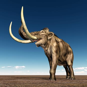 Mammoth
