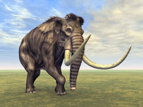 mammoth