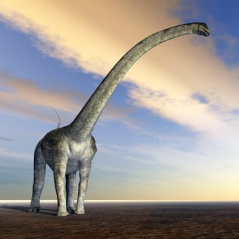 Dinosaur Puertasaurus