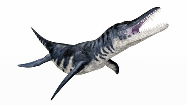 Liopleurodon