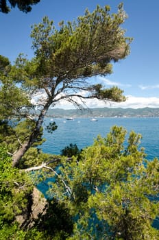 overview of the coast of Portofino in Liguria