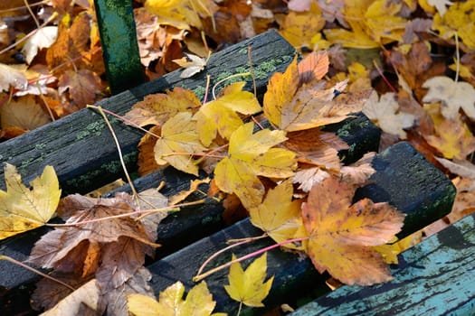 Autumnal mood