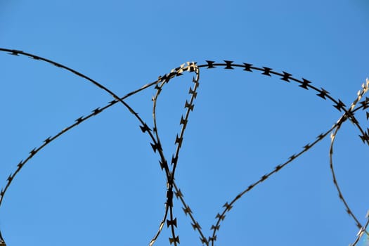 Barbed wire