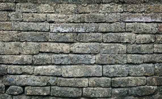 Background - old moldy brick wall