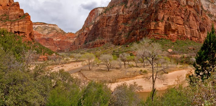 Zion NP