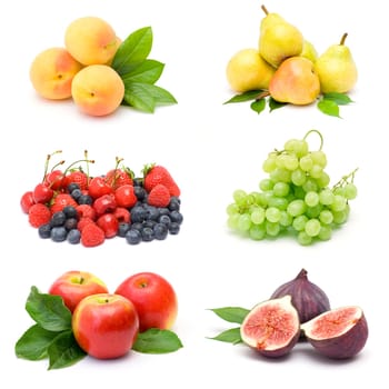 collection of fresh fruits