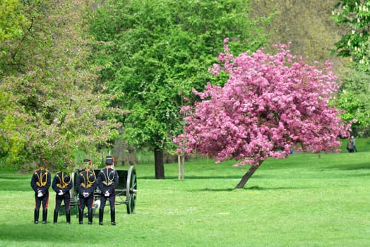 London, UK. May 8th, 2013. The King's Troop in Green Park are ready to fire gun salutes for the State Opening of Parliament.