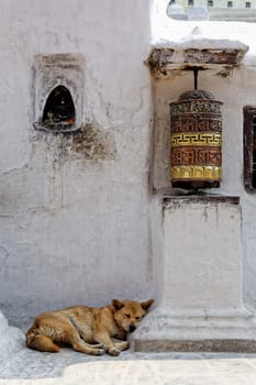 Prayer wheel and dog sleeping at Bothnath stupa in Kathmandu, Nepal