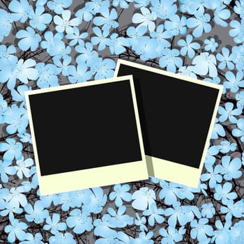 Decorative design with old photo frames and flowers