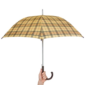 Opened umbrella in hand, isolated on white background