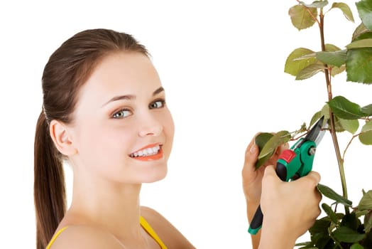 happy gardener using pruning scissors. isolated on white.