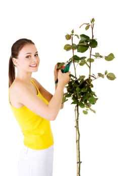 happy gardener using pruning scissors. isolated on white.