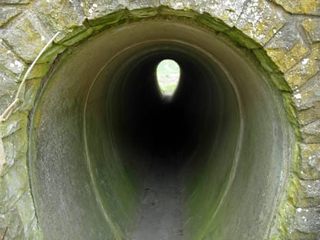 Wild tunnels