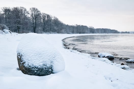 winter landscape on the shore of the Sea