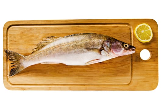Pike perch on a wooden kitchen board, it is isolated on white