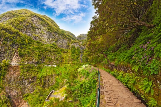 Beautiful landscape on the Island Madeira with path near the "Levada"" to the waterfall"