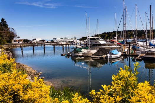 Bainbridge Island Harbor Docks Piers Sailboats Washington Pacific Northwest