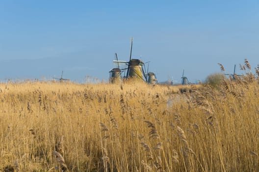 Dutch windmills in Kinderdijk, Netherlands. The windmills of Kinderdijk are one of the best known Dutch tourist sites. They have been a UNESCO World Heritage Site since 1997.