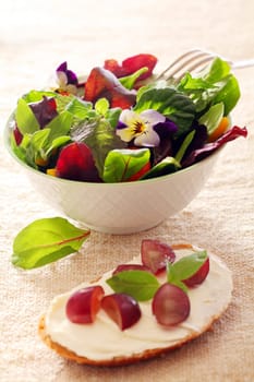 A bowl of vegetable salad with French toast and berry fruits on the side