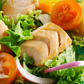 Macro of a tasty and healthy Mediterranean salad with chicken, lettuce, cherry-tomatoes and onions