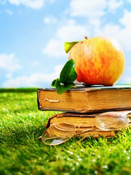 Two old grunge vintage leather books with a pair of retro spectacles and an apple lying in a green grassy field in summer sunshine, conceptual image