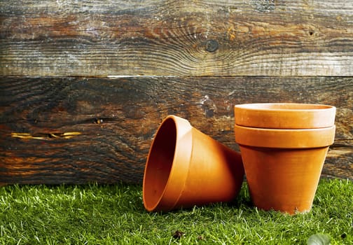 Empty earthenware terracotta flower pots on a trimmed green lawn against the wall of a wooden garden shed with copyspace