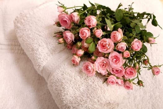 Bunch of small pink Roses on towels, close up.