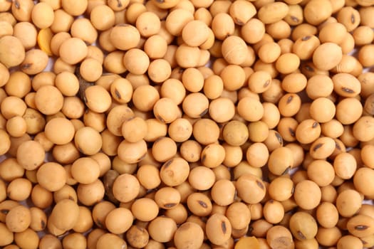 Lots of soybean background