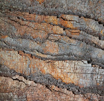 A slice of ancient stone rocks - geological natural background