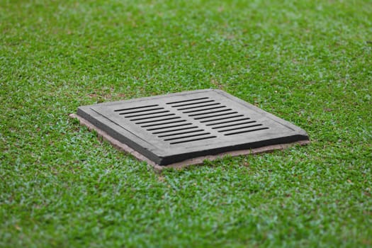 The sewer grate on the lawn - drainage for heavy rain