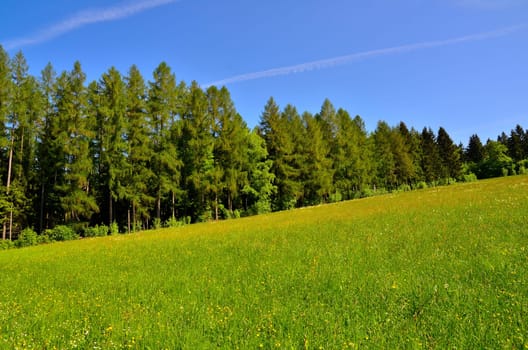 Landscape Clouds Meadow Bischofsgrün