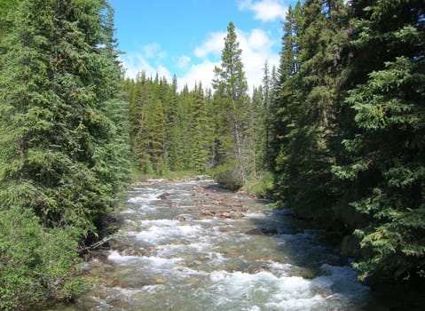 Canadian Rockies stream view near Banff