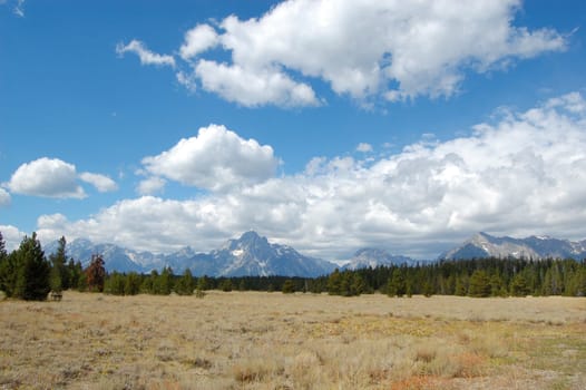 Grand Tetons prairie landscape