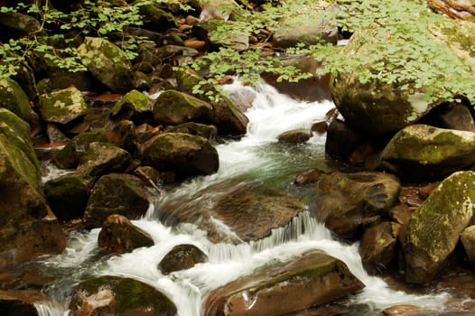 Smoky Mountains river on rocks, Big Creek trail
