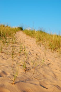 Dune path, Sleeping bear dunes, Michigan - vertical