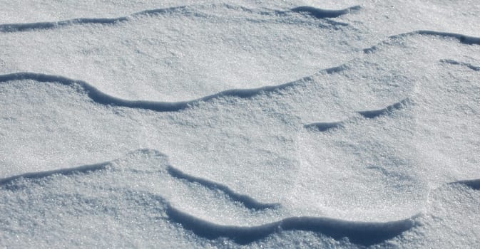 windblown snow background II, white winter scene
