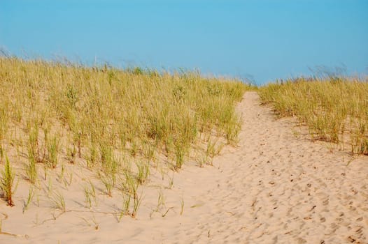 Dune path, Sleeping bear dunes, Michigan - horizontal