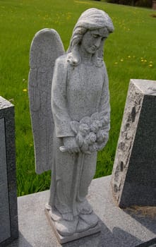 Cemetery angel sculpture between two grave markers
