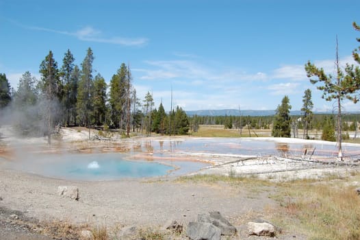 Yellowstone firehole spring