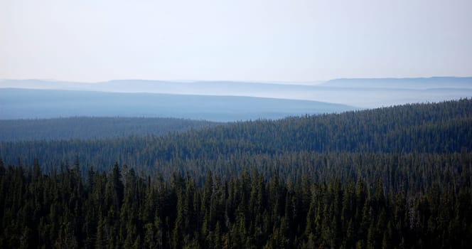 Yellowstone forest valleys with many layers going into the distance