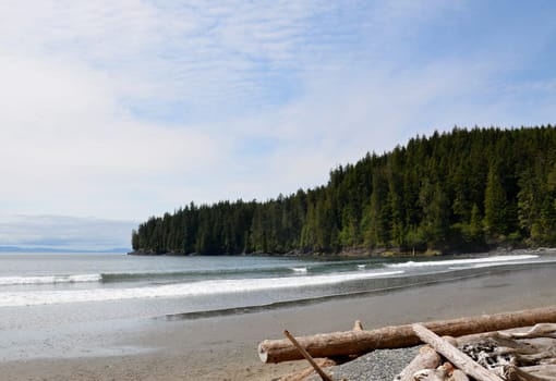 China Beach landscape, Vancouver Island