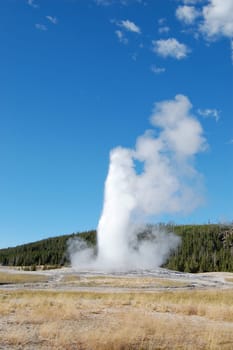 Old Faithful with fields and forest clouds on right
