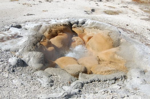 Yellowstone Shell spring geyser showing water bubbling