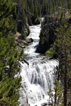 Yellowstone waterfall framed by trees