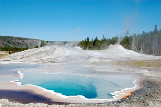 Yellowstone National Park Heart Spring with trees in background